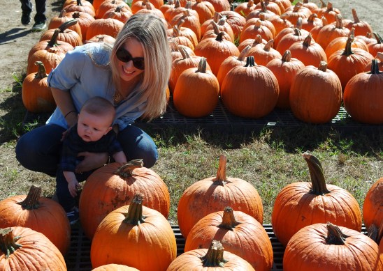 SAMSUNG CAMERA PICTURES